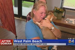 Animal Rescue Group Reunites Owner With Dog Lost During Hurricane Dorian