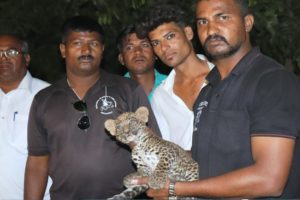 Baby leopard animal rescue opration successful watch full video