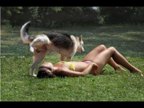 Best Fails of the week | Fun and Fail best Collection | Fun of the week | Fun joy | Fail Misfire
