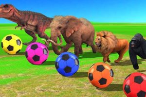 Cartoon Animals Playing Soccer Balls - Learn Farm Animals Names & Sounds