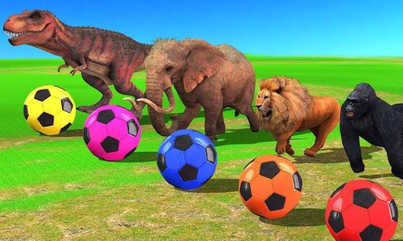 Cartoon Animals Playing Soccer Balls - Learn Farm Animals Names & Sounds