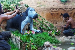 Carving puppy's mum and build sweet dog house for cute puppies was rescued with his friend monkey