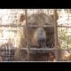 Celebrating Two Years of The Great Bear Rescue