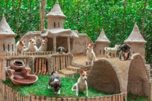 Collect abandoned Dog and Build Mud Dog House