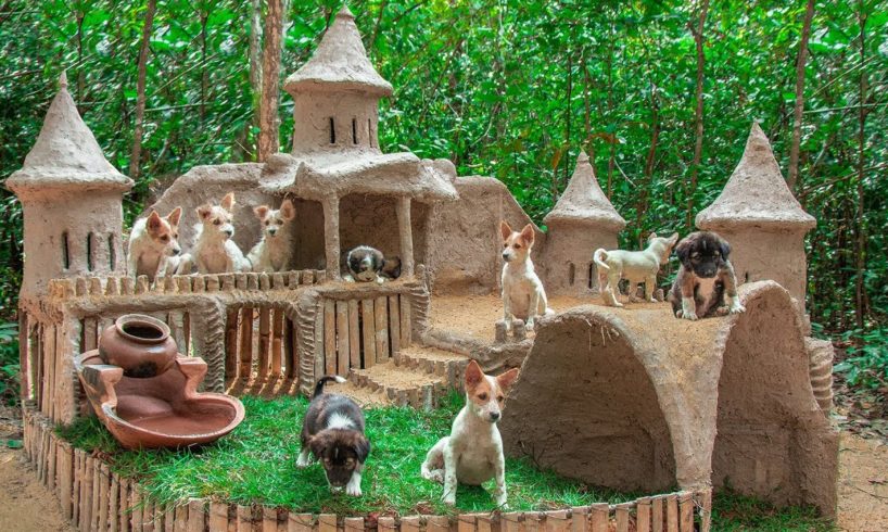 Collect abandoned Dog and Build Mud Dog House