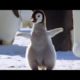 Cool Cute Chicks! | Amazing Animal Babies: Emperor Penguin Chicks (Ep 5) | Earth Unplugged