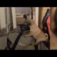 Cute And Funny Puppies Videos   Cute Puppies Doing Funny Things   Puppies TV