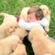 Cute Puppies comedy video | kids  playing with puppies???|Top Ten Compilation