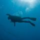 Diver Records His Own Death as He Sinks to The Ocean Floor