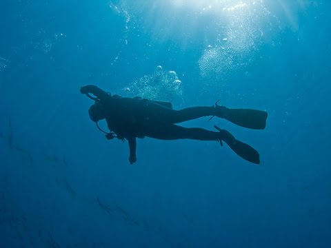 Diver Records His Own Death as He Sinks to The Ocean Floor