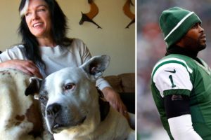 Dog Rescued During Michael Vick Scandal Is Now a Therapy Pet