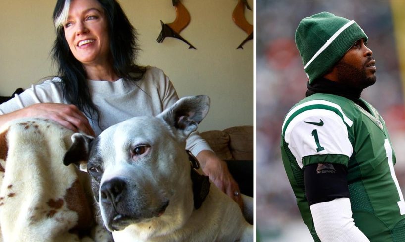 Dog Rescued During Michael Vick Scandal Is Now a Therapy Pet