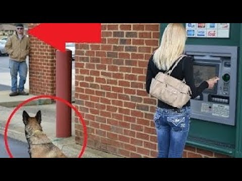 Dogs Protecting Their Owners - Dogs that are better than guns! [ Dog Training ]