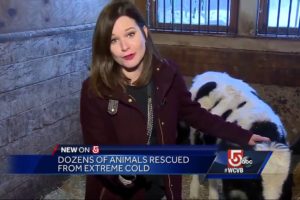 Dozens of animals rescued from extreme cold