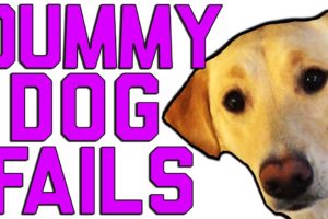 Dummy Dogs | "Dog Fails" | FailArmy