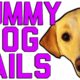 Dummy Dogs | "Dog Fails" | FailArmy