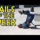 Fails Of The Week | Funny Fail Compilation (October 2019)