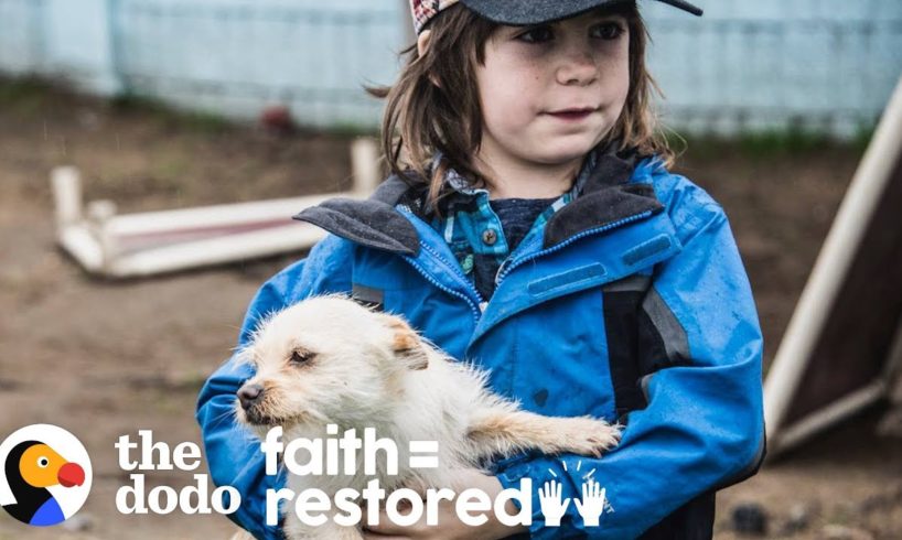 Family Keeps Going To Mexico To Rescue Dogs | The Dodo Faith = Restored