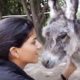 Family Moves To India To Help Save Animals: Animal Aid Unlimited | The Dodo