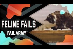 Feline Fails: Cat Got Your Tongue? (July 2018) | FailArmy