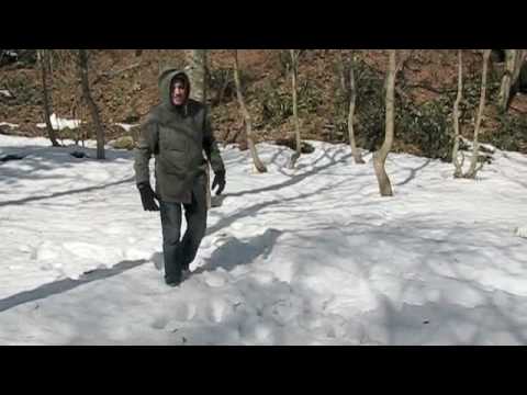 Funny animals playing on the snow in Shirakawa-go