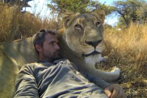 GoPro: Lions - The New Endangered Species?