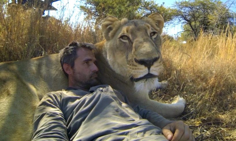 GoPro: Lions - The New Endangered Species?