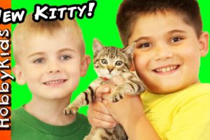 HobbyKids Get a NEW Kitty Cat! What Should We Namer Her?