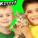 HobbyKids Get a NEW Kitty Cat! What Should We Namer Her?