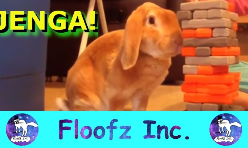 IT'S IMPOSSIBLE NOT TO LAUGH AT THESE ANIMALS PLAYING JENGA!