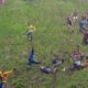 Injuries after 2018 cheese rolling event: Extended version