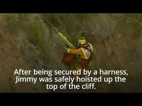Jimmy the dog rescued after getting stuck in cliff face in Australia