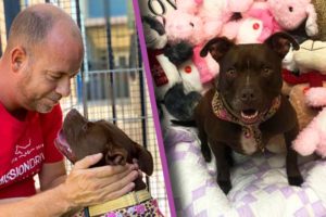 Kansas Man Moves Into Animal Shelter to Help Get Dog Adopted