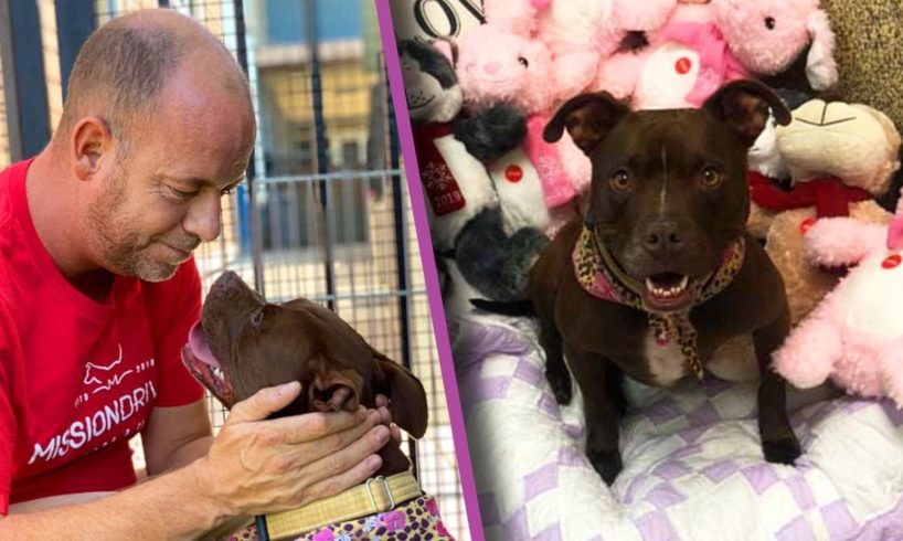 Kansas Man Moves Into Animal Shelter to Help Get Dog Adopted