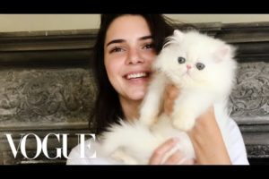 Kendall Jenner Plays with The World's Cutest Kitten | Vogue