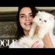 Kendall Jenner Plays with The World's Cutest Kitten | Vogue