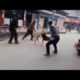 Live Dog Fight Till Death | No one could separate them | Animal Fight All time