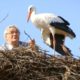 Man Does Everything For His Rescued Stork -  KLEPETAN & MALENA | The Dodo