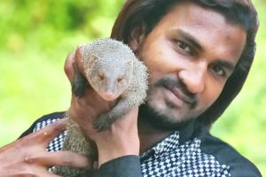 Mongoose animal playing with me.. Sarpmitra Akash Jadhav सर्पमित्र आकाश जाधव