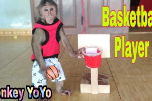 Monkey Baby Yoyo Playing Basketball