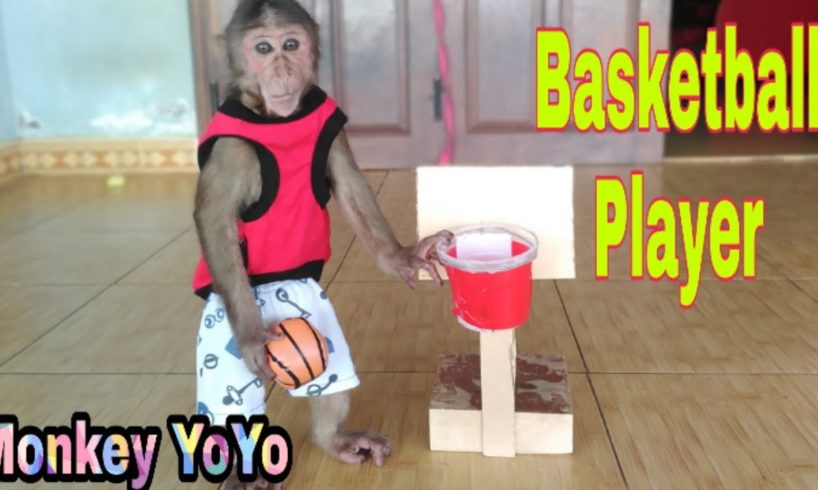 Monkey Baby Yoyo Playing Basketball