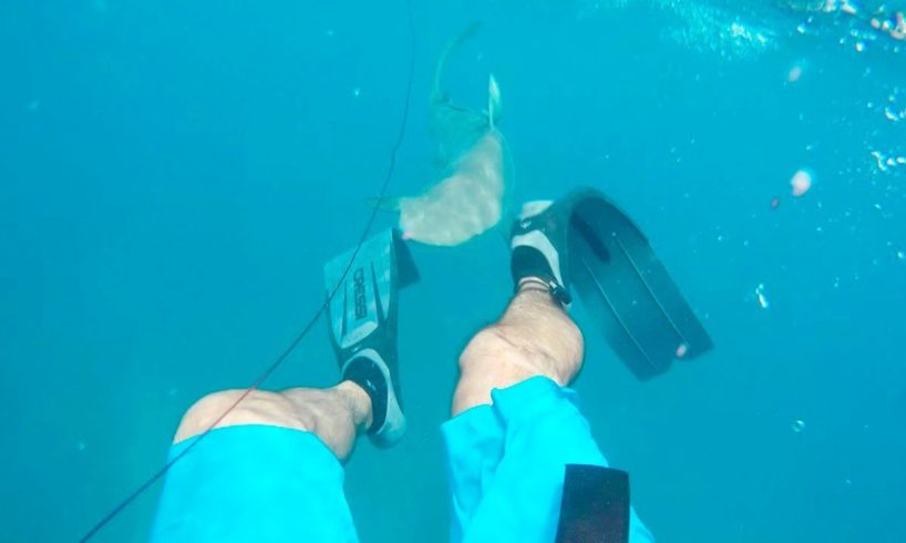 NEAR DEATH CAPTURED by GoPro and camera pt.67 [FailForceOne]