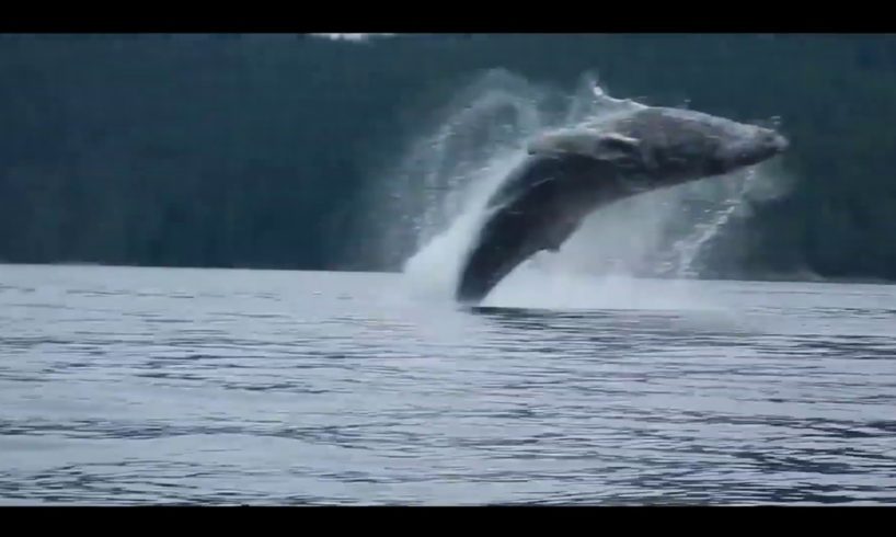 NEAR DEATH EXPERIENCES CAPTURED by GoPro pt.26 [Amazing Life]