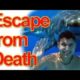 Near Death! Ultimate Close Call Compilation