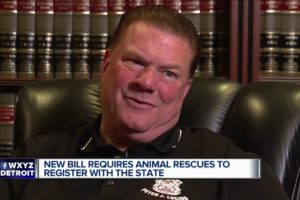 New bill requires animal rescue organizations to register with the state