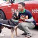 Perrita no puede usar sus patas traseras pero hace lo imposible | El Dodo