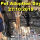 Pet Adoption Day 27/10/2019 - Find New Families For Poor Dogs and Cats | Animal Shelter