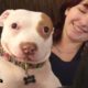 Pit Bull Dog Makes His Family Whole Again - BEAU | The Dodo Pittie Nation