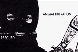 RESCUED: Animal Liberation (featuring Jonathan Paul)