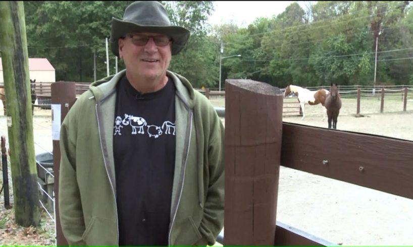 Randy's Rescue Ranch to host Halloween fundraiser for animal rescue